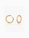 Small Porcupine Hoop Earrings