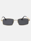 Linear Luxe Rectangle Sunglasses