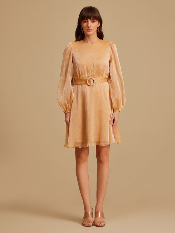 Flaxen Organza Mini Dress