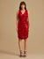Ruby Bodycon Mini Dress