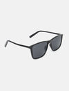 WayfarerSunglasses