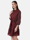 Schiffli Shirt Dress