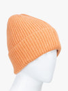 Multicolor Solid Knitted Beanie