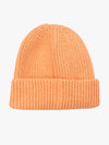 Multicolor Solid Knitted Beanie