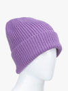 Multicolor Solid Knitted Beanie