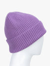 Multicolor Solid Knitted Beanie