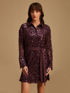 Sequin Shirt Dress