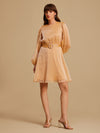 Flaxen Organza Mini Dress