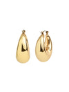 Elegant Drop-Shaped Hoop Earrings