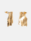 Irregular Shape Earrings