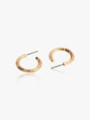 Set of 12 Gold Hoop and Stud Earrings