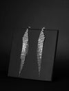 Silver Dazzling Danglers