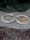 Gold Stone Studded Hoops