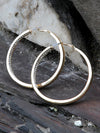 Bold Gold Hoops